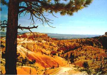 'Bryce Canyon View' ... NO PICTURE ? ... PLEASE DROP ME A MESSAGE !